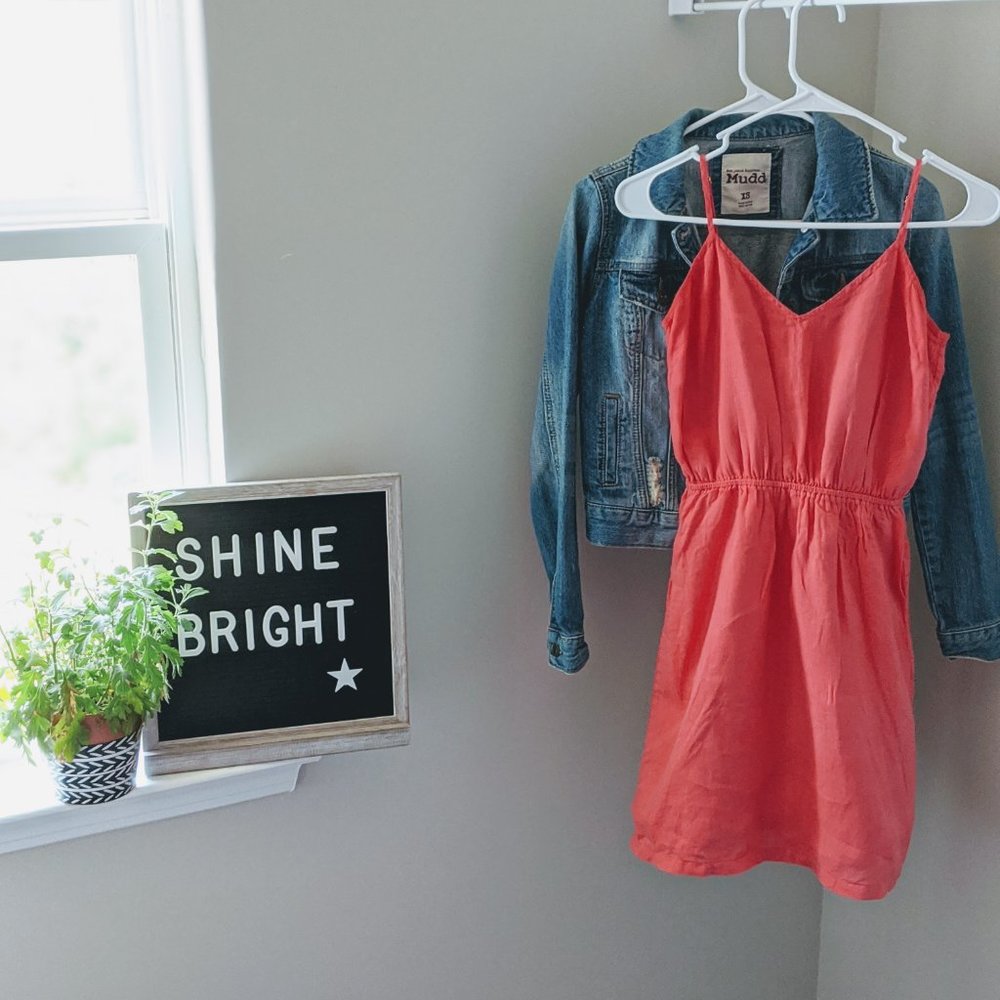 J. Crew V Neck Coral Dress - XXS